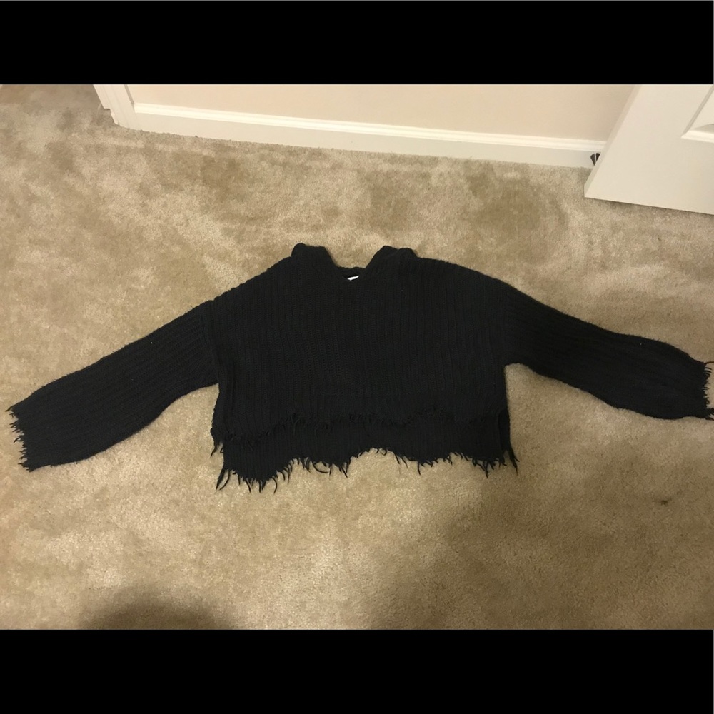 Wild fox cropped sweater